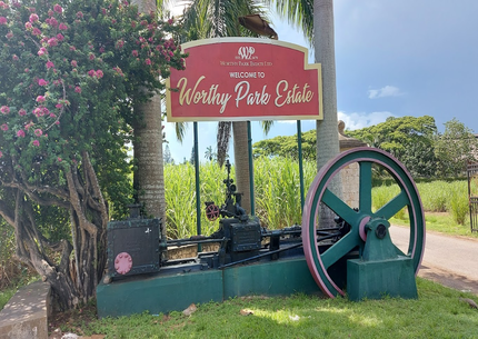 Worthy Park Estate Rum Tour